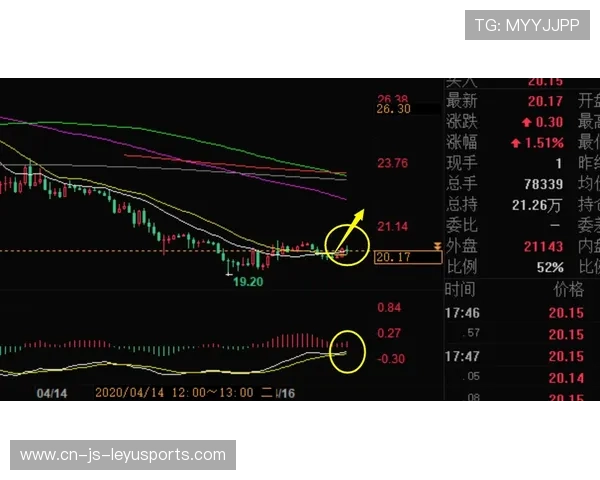 火箭长线培养与短期止损双轨并行