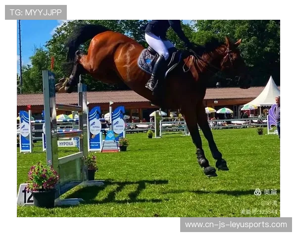 瑞士马术协会与国际组织合作，推广“Schwingfest”至全球。，瑞士mas项目