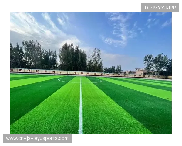 体育场的草皮维护:被踩踏的艺术品,体育场草坪图片 体育场的草皮维护:被踩踏的艺术品,体育场草坪图片